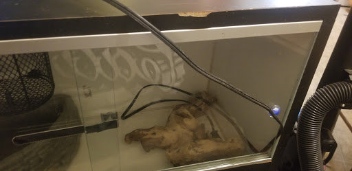 Self-Storage Facility «Guard Dog Self Storage - Marysville», reviews and photos, 1597 Hammonton Smartsville Rd, Marysville, CA 95901, USA