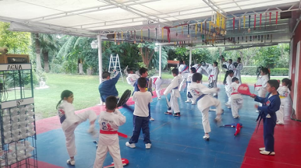 Club de Taekwondo Servales Incorporado al Club Oficial de Taekwondo de Comonfort
