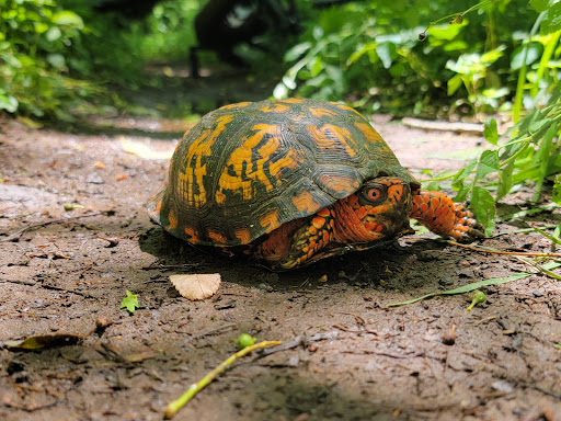 State Park «Swatara State Park», reviews and photos, 1450 Suedberg Rd, Pine Grove, PA 17963, USA