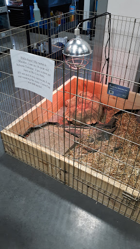 Pet Groomer «We Lov Pets», reviews and photos, 3853 Northpointe Dr, Zanesville, OH 43701, USA