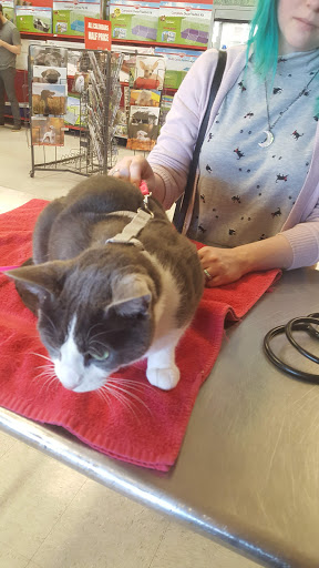 Pet Supply Store «Petco Animal Supplies», reviews and photos, 13691 Ridgedale Dr, Minnetonka, MN 55305, USA