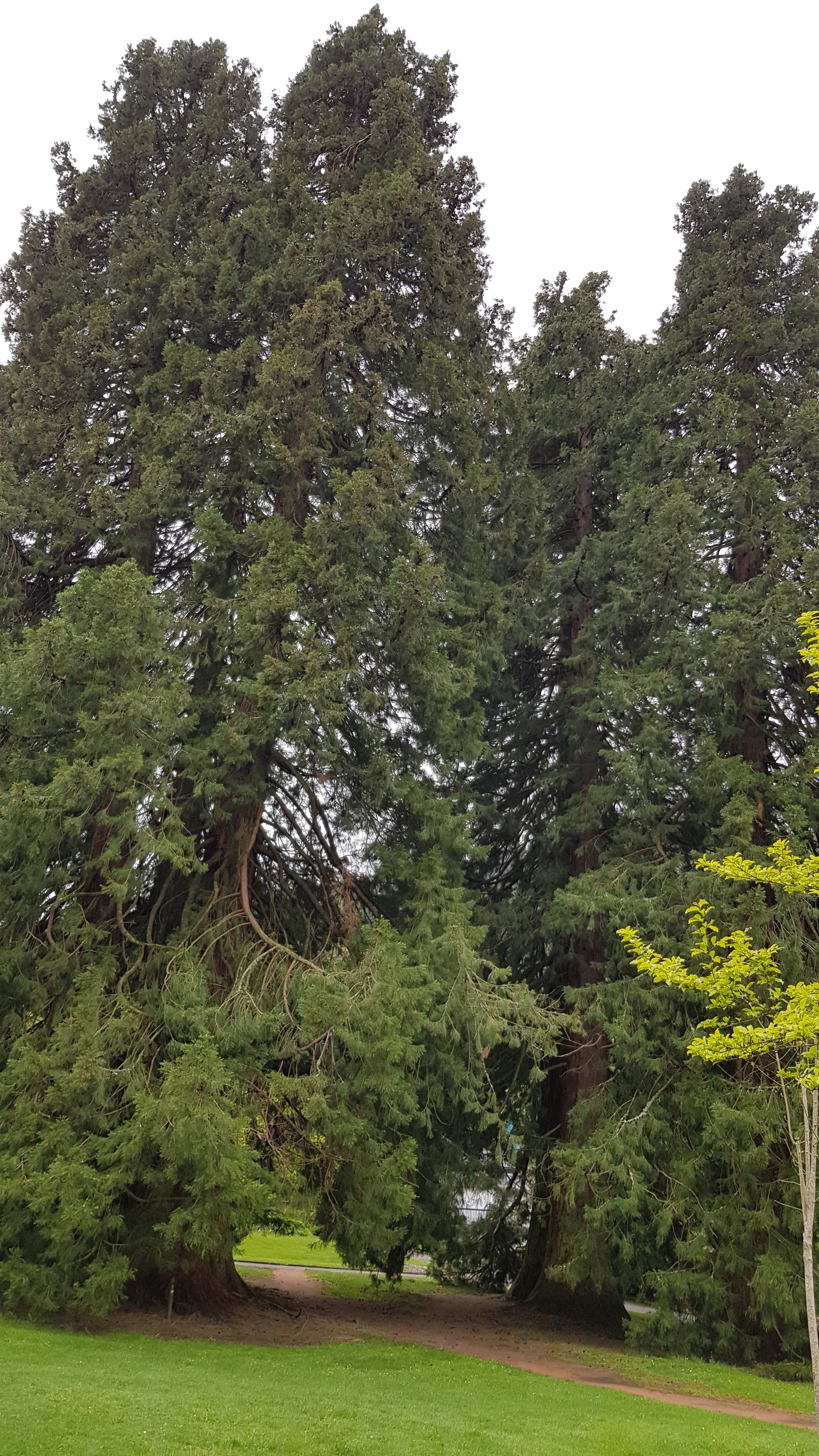 Photo n° 19 de l'avis de Octhane.a fait le 21/04/2017 à 20:56