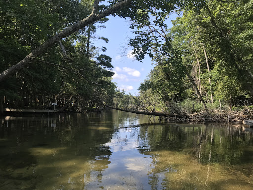 Canoe & Kayak Rental Service «Crystal River Outfitters Recreational District», reviews and photos, 6249 River Rd, Glen Arbor, MI 49636, USA
