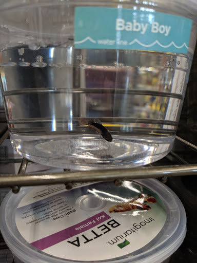 Pet Supply Store «Petco Animal Supplies», reviews and photos, 1215-1309 NJ-33 #1, Hamilton Township, NJ 08690, USA