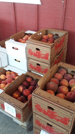 Produce Market «Washington Fruit Place At Barrett Orchards», reviews and photos, 1209 Pecks Canyon Rd, Yakima, WA 98908, USA