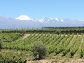 Best Christmas Lots In Mendoza Near You