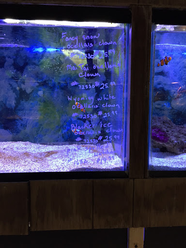 Pet Store «Inland Reef Pet Store», reviews and photos, 817 Cross Lanes Dr, Cross Lanes, WV 25313, USA