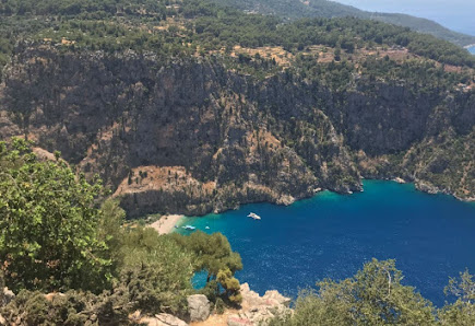 The Worldwide Travel Company 