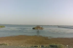 Bhogavo River Dam, Vadod image