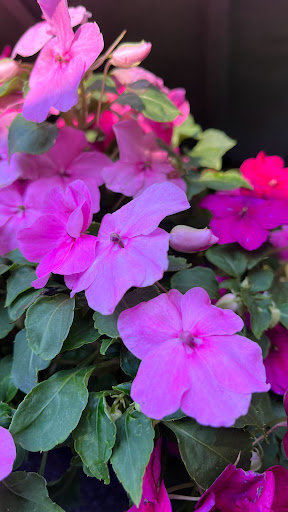 Home Improvement Store «The Home Depot», reviews and photos, 32525 Northwestern Hwy, Farmington Hills, MI 48334, USA