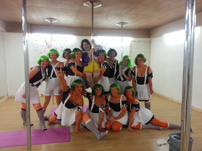 KT Wilds Vertical Fitness - Dance school