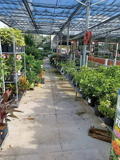 Home Improvement Store «The Home Depot», reviews and photos, 10151 Bloomingdale Ave, Riverview, FL 33569, USA