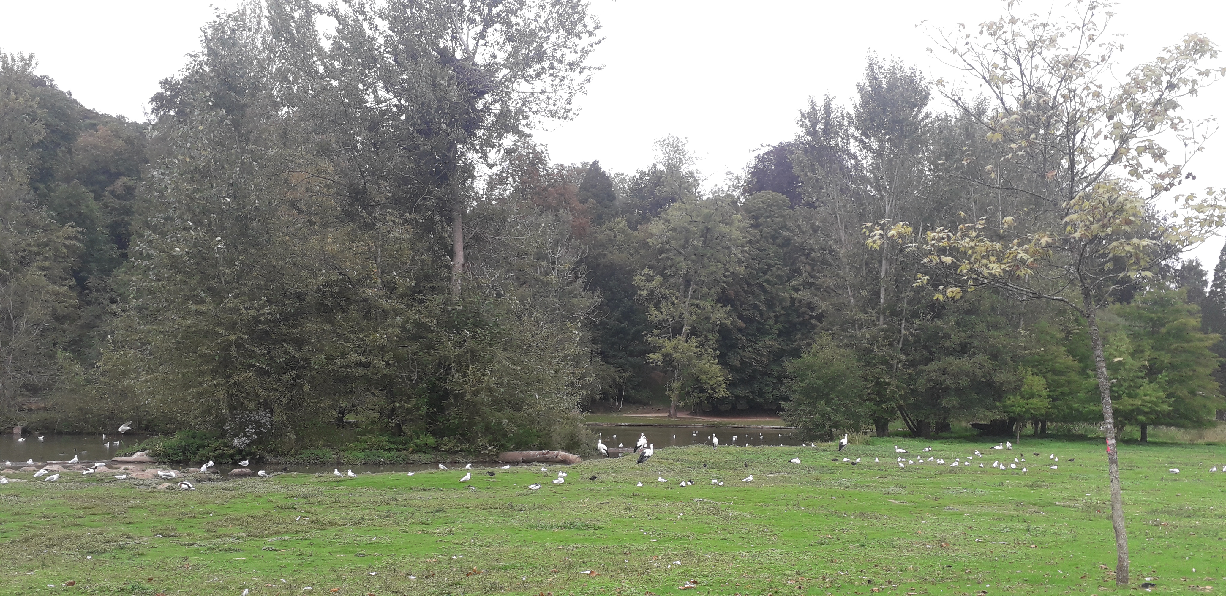 Photo n° 8 de l'avis de lilou.i fait le 19/09/2020 à 16:48