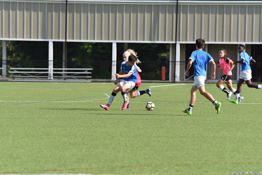 Sporting Goods Store «Play It Again Sports», reviews and photos, 59 Catoctin Cir NE, Leesburg, VA 20176, USA