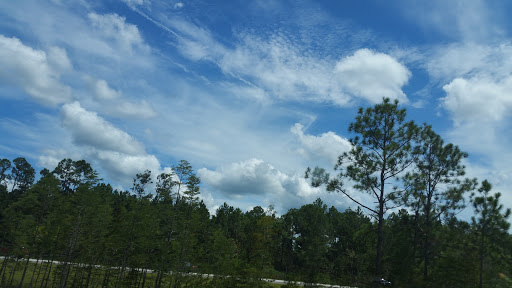 Auto Parts Store «Brothers Performance», reviews and photos, 3060 Performance Cir, DeLand, FL 32724, USA