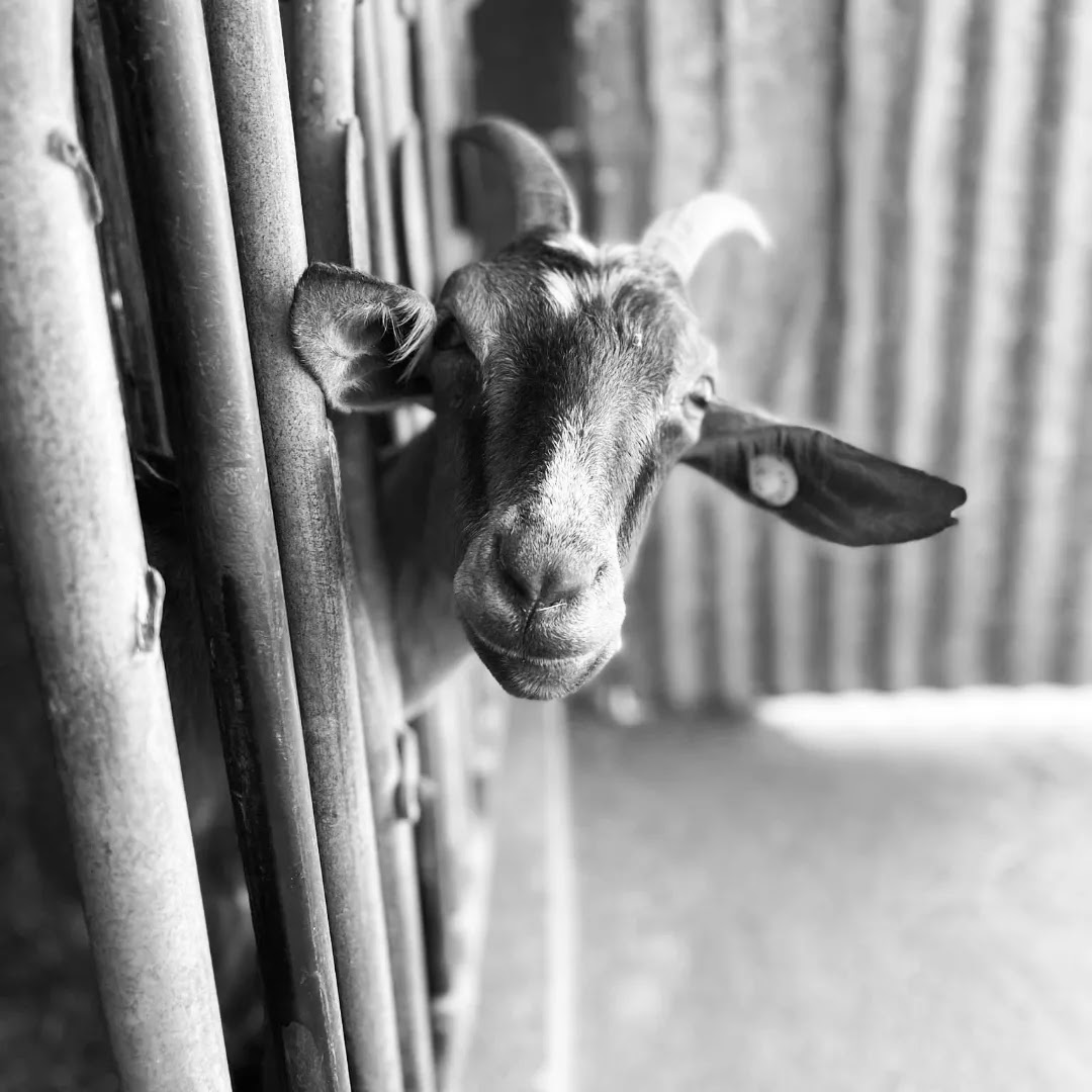 Photo n° 6 de l'avis de Aurélie.l fait le 20/03/2019 à 20:09