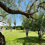 Photo n°3 de l'avis de Claudio.a fait le 22/07/2023 à 07:47 sur le  Tenuta Antica Posta à San Giovanni Rotondo