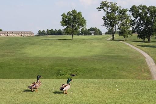 Golf Course «Duckers Lake Golf Club», reviews and photos, 98 Buena Vista Dr, Frankfort, KY 40601, USA