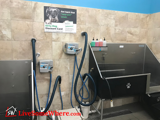 Pet Supply Store «Pet Supplies Plus», reviews and photos, 4250 N Alafaya Trail #240, Oviedo, FL 32765, USA