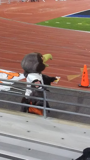 Stadium «UB Stadium», reviews and photos, 102 Alumni Arena, Buffalo, NY 14260, USA