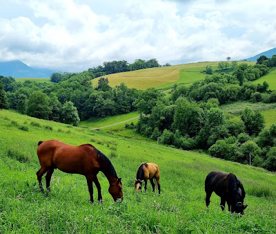 Equidéduc objecti'f à Gez