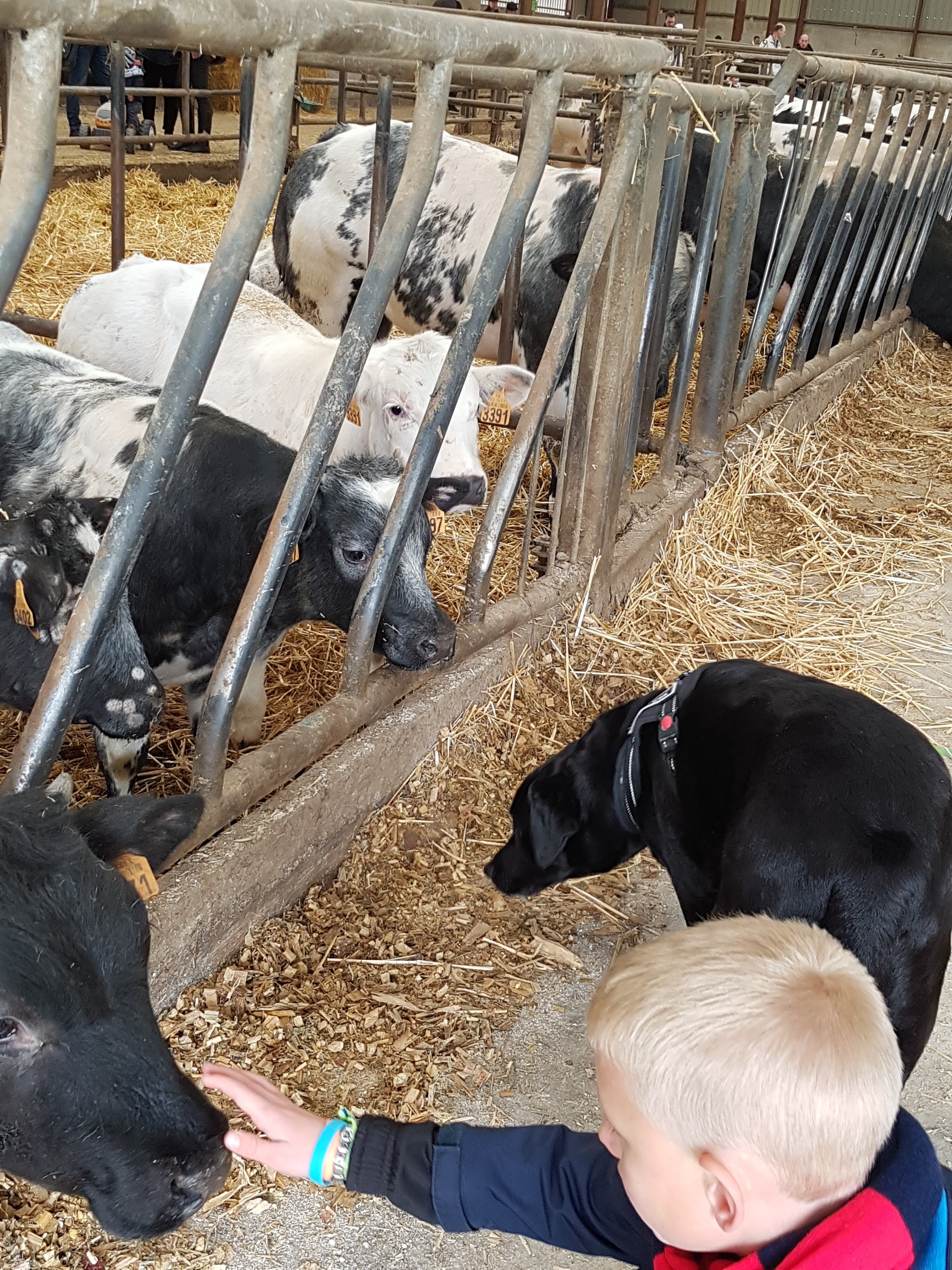 Photo n° 36 de l'avis de Alicia.P fait le 28/04/2019 à 13:27
