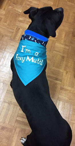 Pet Groomer «Foxy Mutts Grooming Salon», reviews and photos, 303 E Franklin St, Spencer, IN 47460, USA