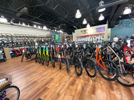 Bicycle Store «American Cycle & Fitness - The Trek Bicycle Stores of Michigan», reviews and photos, 29428 Woodward Ave, Royal Oak, MI 48073, USA