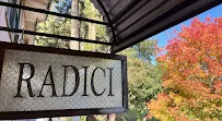 Radici Hair Studio - Car repair in Santa Rosa, CA, Santa Rosa - Rated 5.0/5