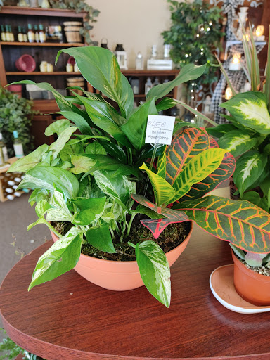 Florist «Williams Flower Shop», reviews and photos, 16 S Main St, Mt Vernon, OH 43050, USA