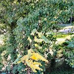 Photo n°12 de l'avis de angelo.r fait le 09/01/2018 à 12:20 sur le  Legri à Calenzano