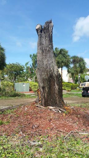 Golf Course «Wynmoor Golf Course», reviews and photos, 1310 Avenue of the Stars, Coconut Creek, FL 33066, USA