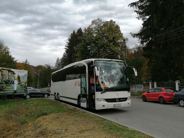 Opinii despre All Tour în Bacău - Agenție de turism