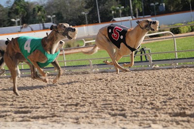 Photos of Naples Fort Myers Greyhound Racing & Poker