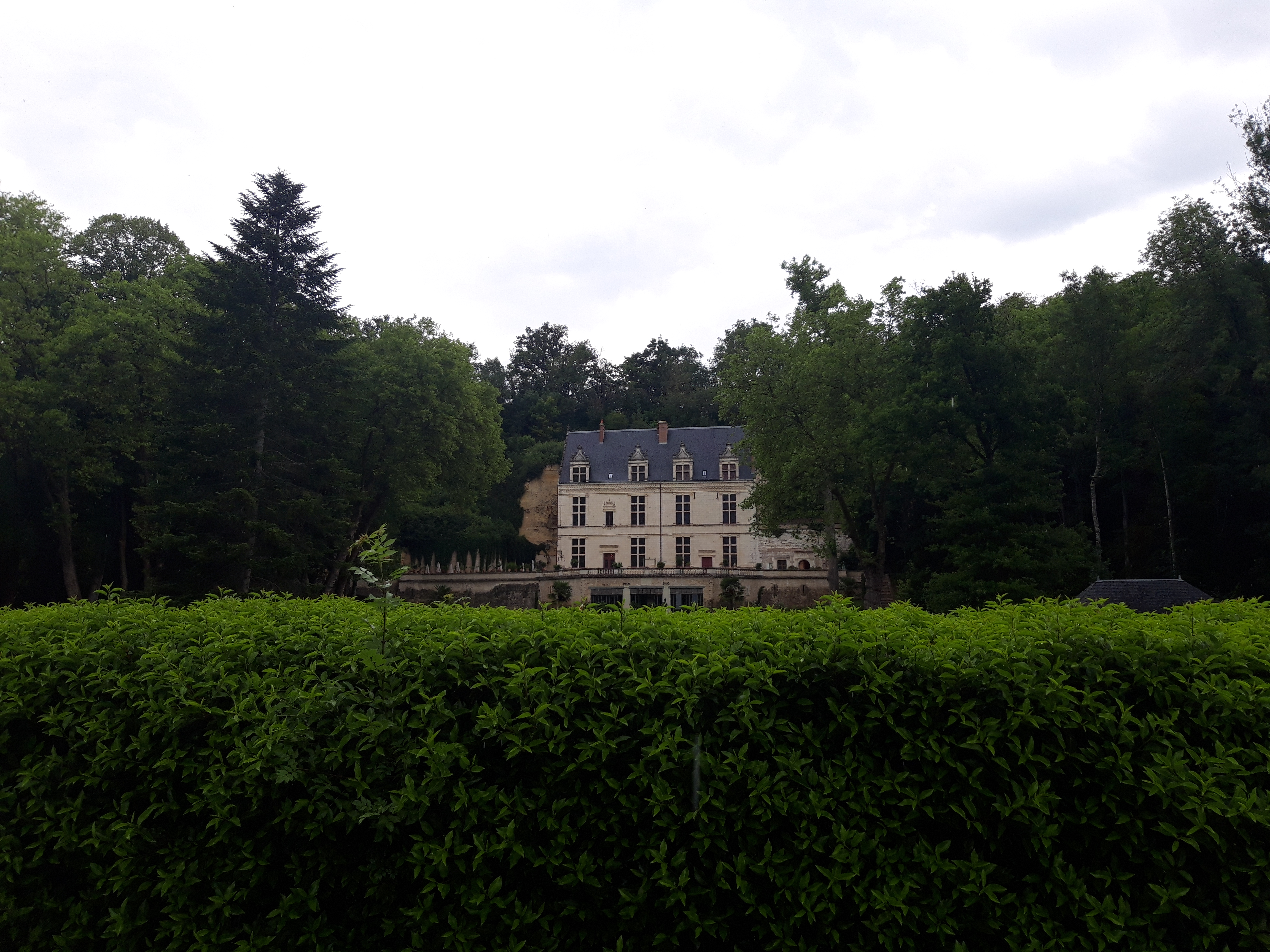 Photo n° 1 de l'avis de The.e fait le 29/06/2021 à 12:15