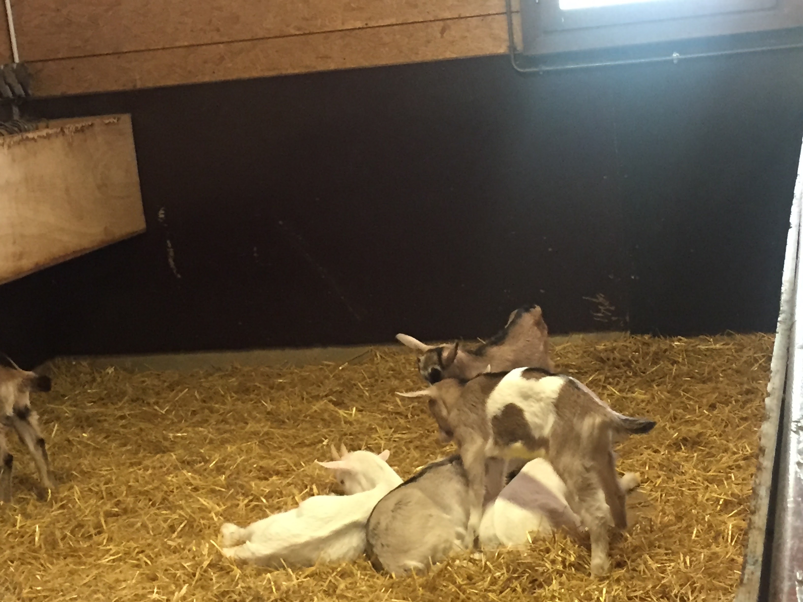 Photo n° 18 de l'avis de lou.o fait le 21/04/2018 à 14:21