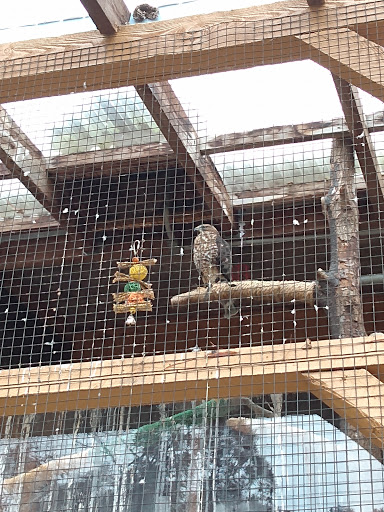 Museum «Harry C Barnes Memorial Nature Center», reviews and photos, 175 Shrub Rd, Bristol, CT 06010, USA