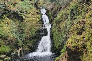 Tomies Wood Trail image