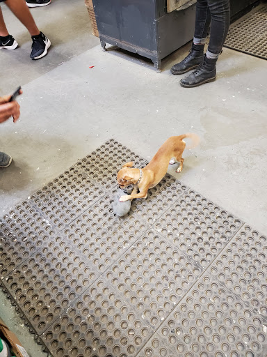 Home Improvement Store «The Home Depot», reviews and photos, 1303 Rivery Blvd, Georgetown, TX 78626, USA