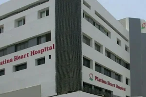 Platina Heart Hospital image