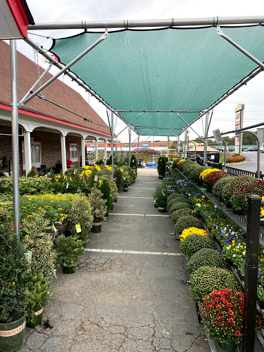 Hardware Store «Classic Ace Hardware», reviews and photos, 1622 Woodruff Rd, Greenville, SC 29607, USA