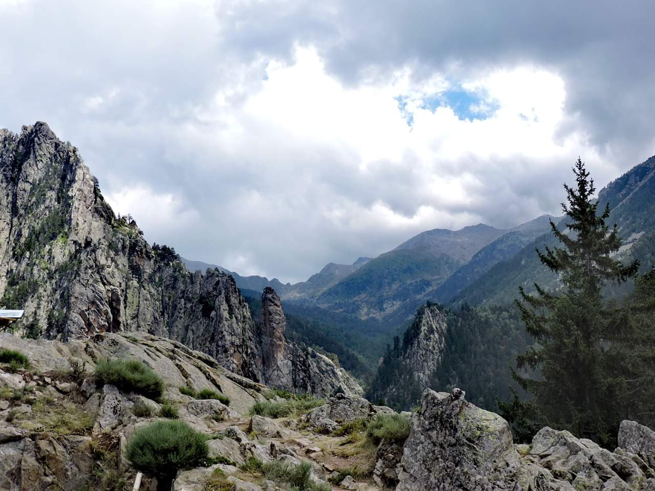Photo n° 1 de l'avis de L'Ovellot.e fait le 26/05/2019 à 14:28