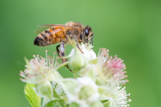 Park «Colby Lake Park», reviews and photos, 9715 Valley Creek Rd, Woodbury, MN 55125, USA