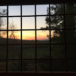 Photo n°1 de l'avis de samantha.o fait le 17/06/2022 à 07:13 sur le  Osteria di Rendola à Montevarchi