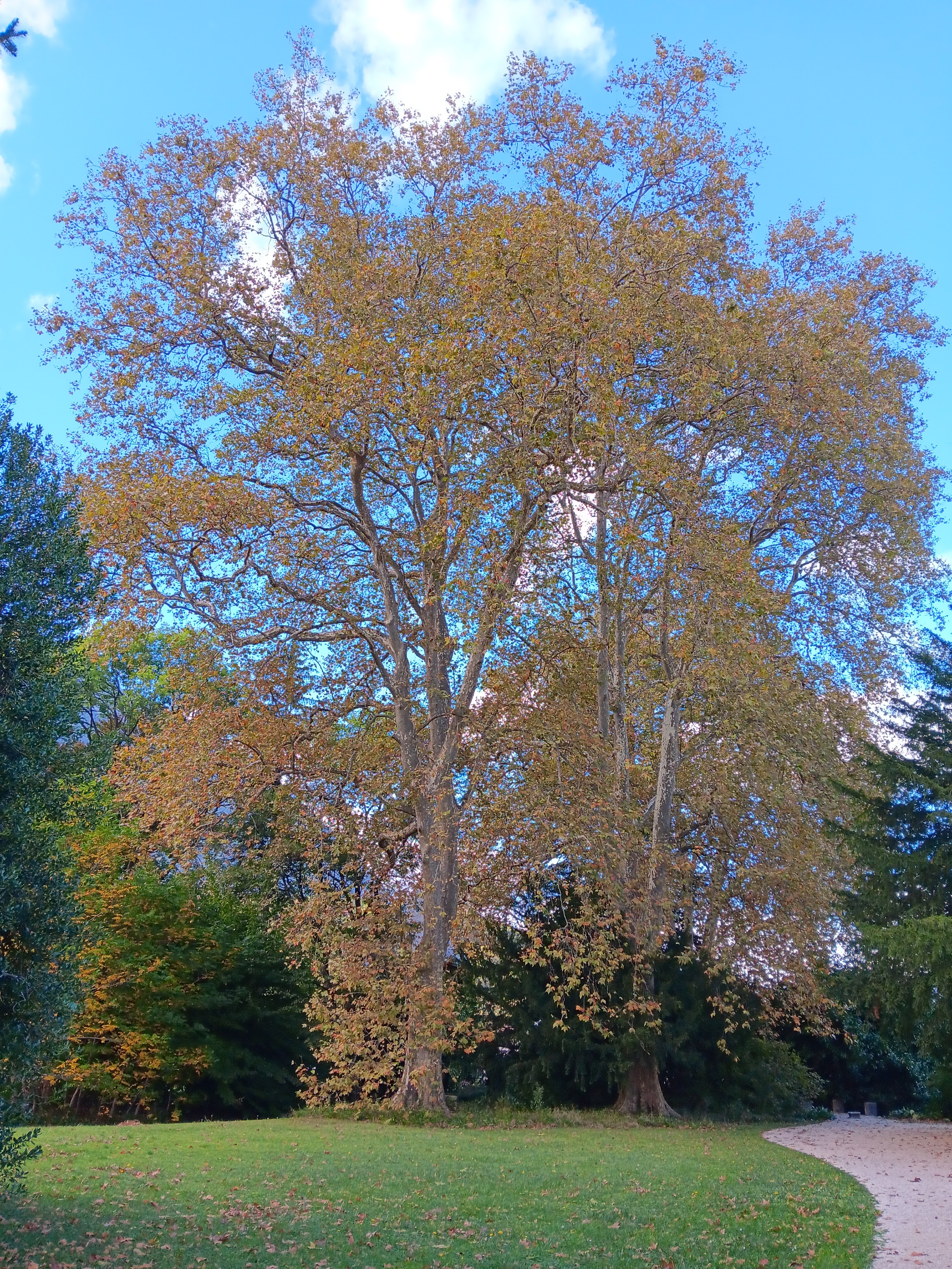 Photo n° 2 de l'avis de PERLE.L fait le 21/10/2023 à 13:31