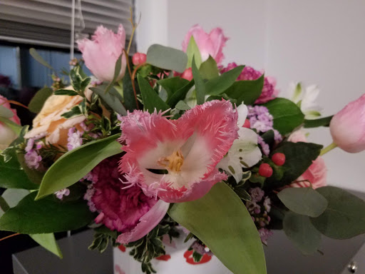 Florist «Ben White Florist», reviews and photos, 3200 S Congress Ave, Austin, TX 78704, USA