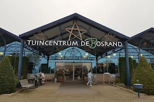 Tuincentrum Bosrand Rijsbergen image