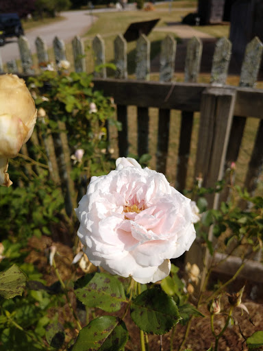 Park «Heritage Park», reviews and photos, 99 Lake Dow Rd, McDonough, GA 30252, USA