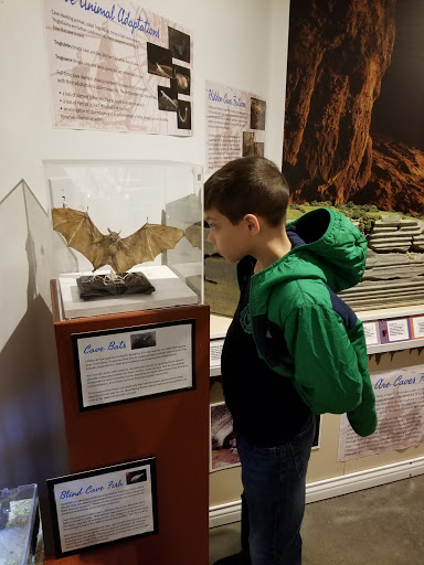 Science Academy «The Living Arts & Science Center», reviews and photos, 362 N Martin Luther King Blvd, Lexington, KY 40508, USA