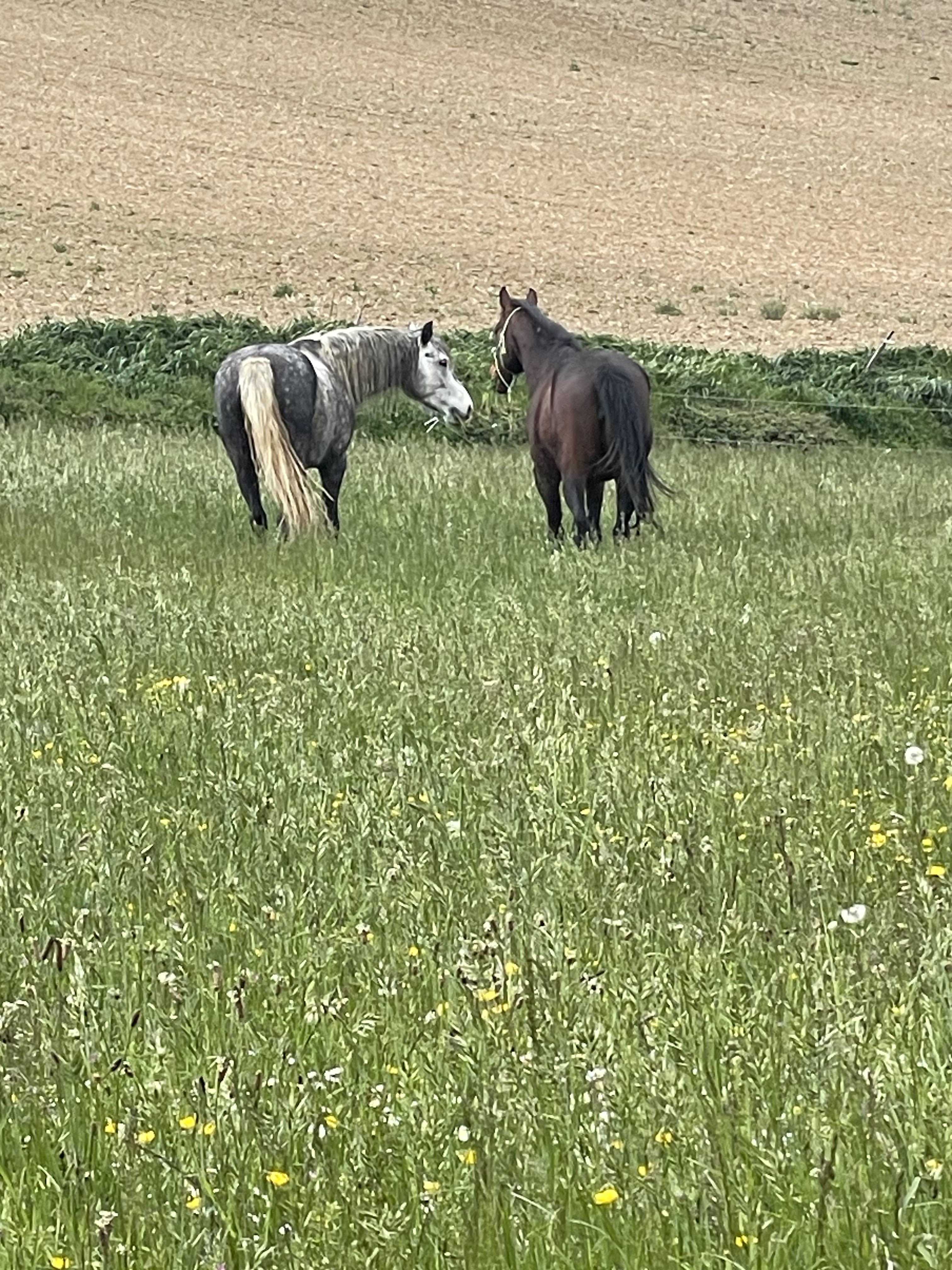 Photo n° 1 de l'avis de Sandrine.a fait le 18/04/2023 à 10:17